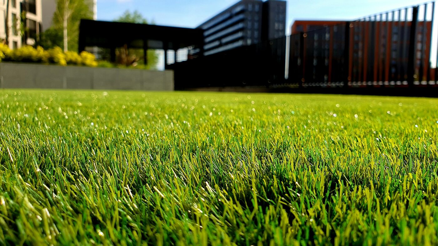 Sunlight on a green lawn, photographed by Petar Tonchev. Stock photography for this fictional demo.